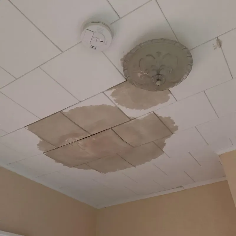 Ceiling Water Damage Repair in East Hills, NY
