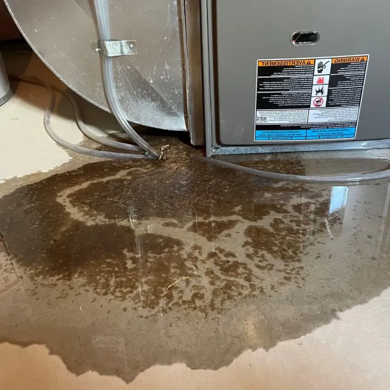 Pipe Burst and Leak Restoration in East Hills, NY
